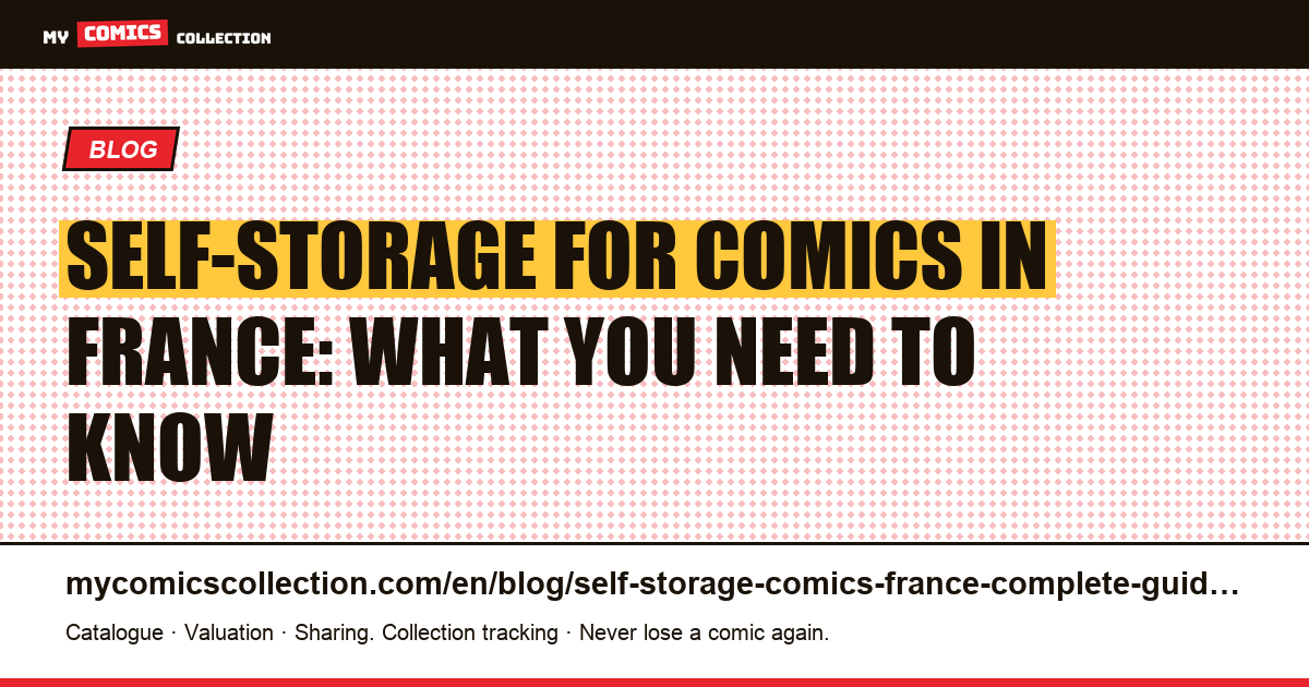 Storing a Comic Book Collection in Self-Storage in France: The Complete Guide — article illustration