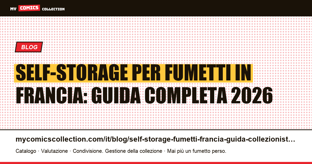 Self-storage per fumetti in Francia: tutto quello che devi sapere, illustrazione articolo