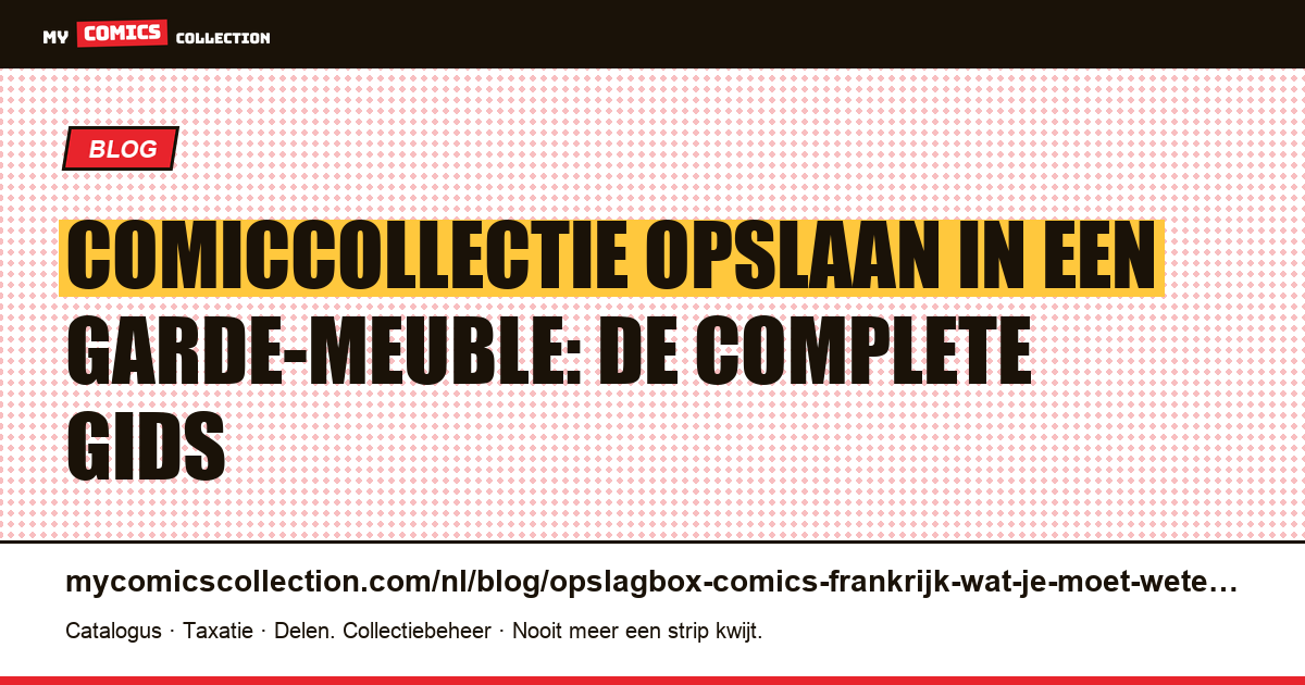 Comics opslaan in een garde-meuble in Frankrijk: de complete gids, artikelillustratie