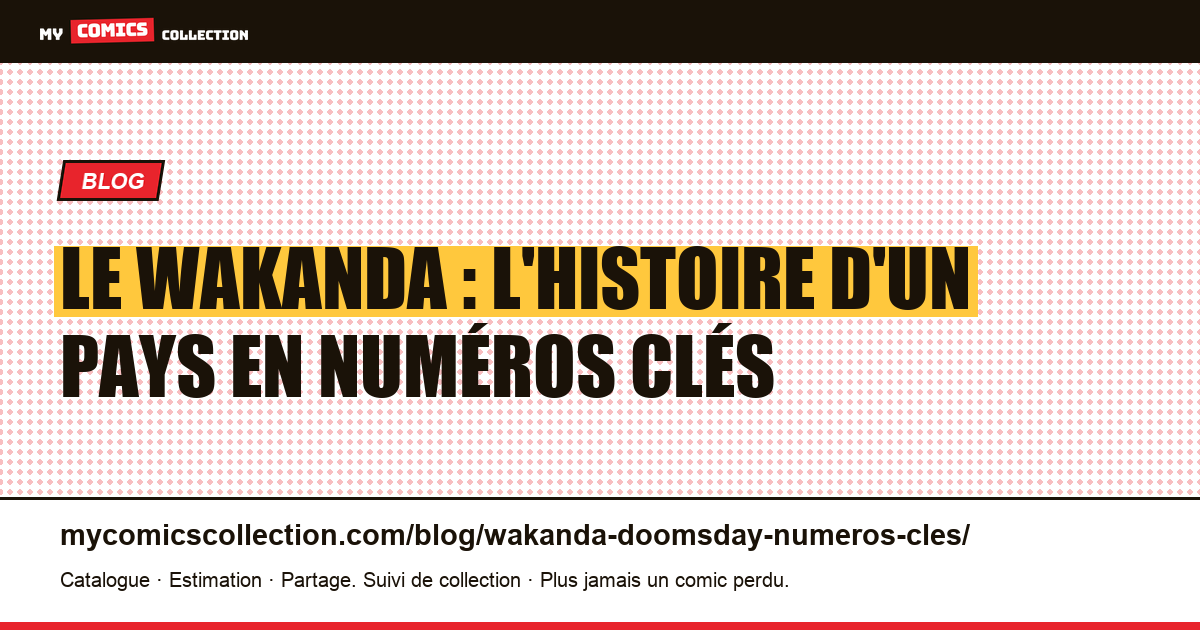 Le Wakanda : l'histoire d'un pays en numéros clés, illustration article