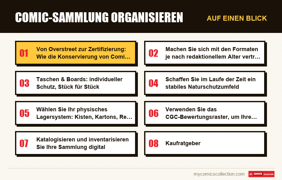 Auf einen Blick : Comic-Sammlung organisieren
