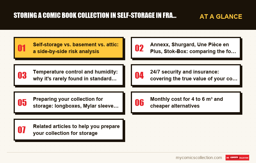 At a glance : Storing a Comic Book Collection in Self-Storage in France