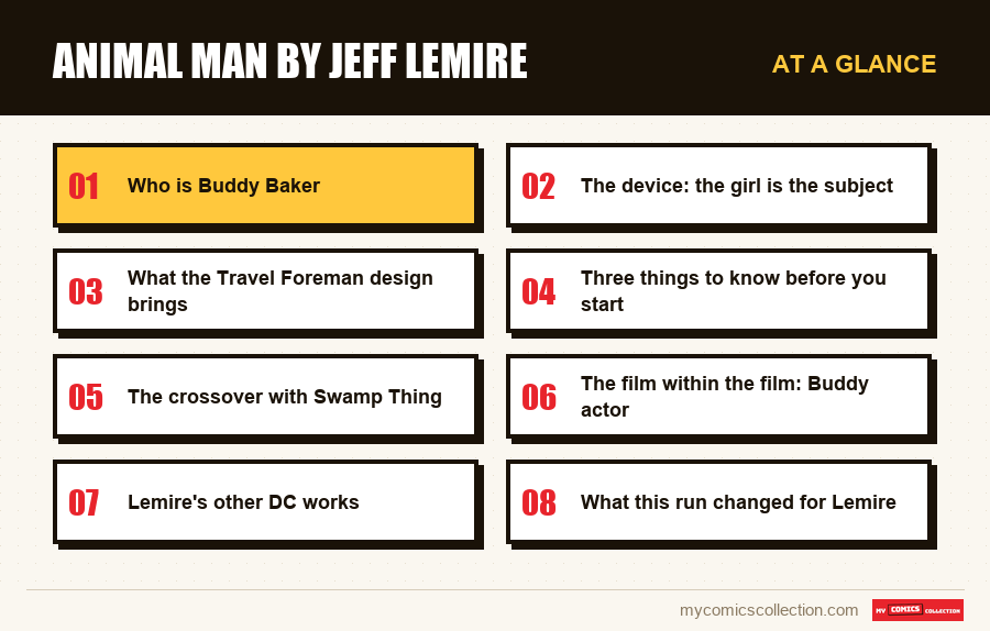 At a glance : Animal Man by Jeff Lemire