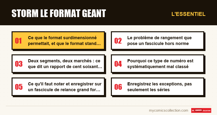 L'essentiel : storm le format geant