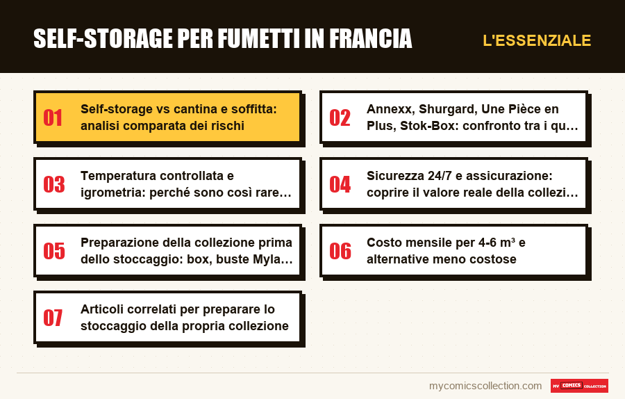 L'essenziale : Self-storage per fumetti in Francia