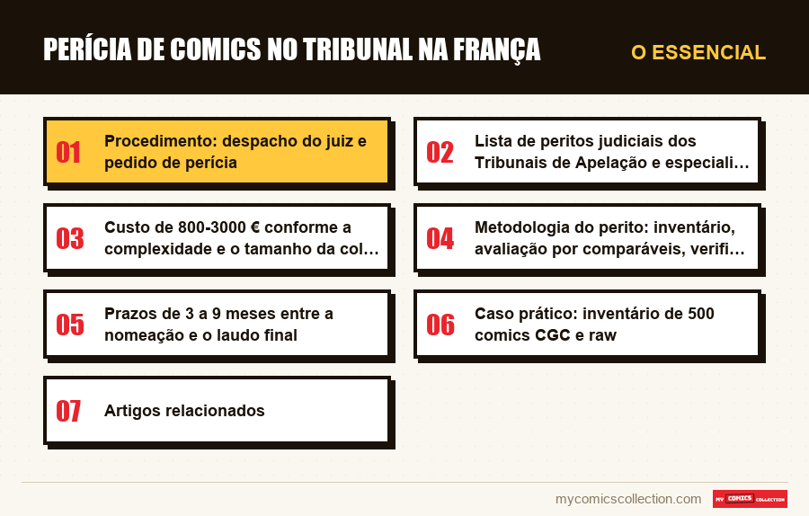 O essencial : Perícia de comics no tribunal na França